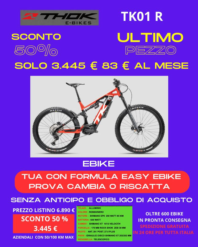 Ebike THOK  01 R