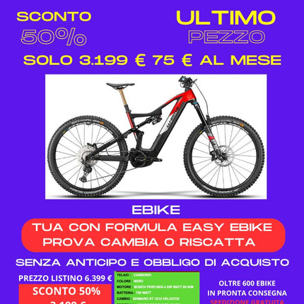 Ebike  Whistle B-Rush C 8.4