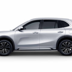Collection image for: Nuovo Geely
