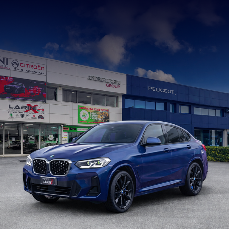 <h1>Usato Garantito Larini</h1>