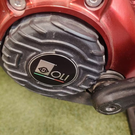 Olympia Master – eBike Front ANANDA 100Nm