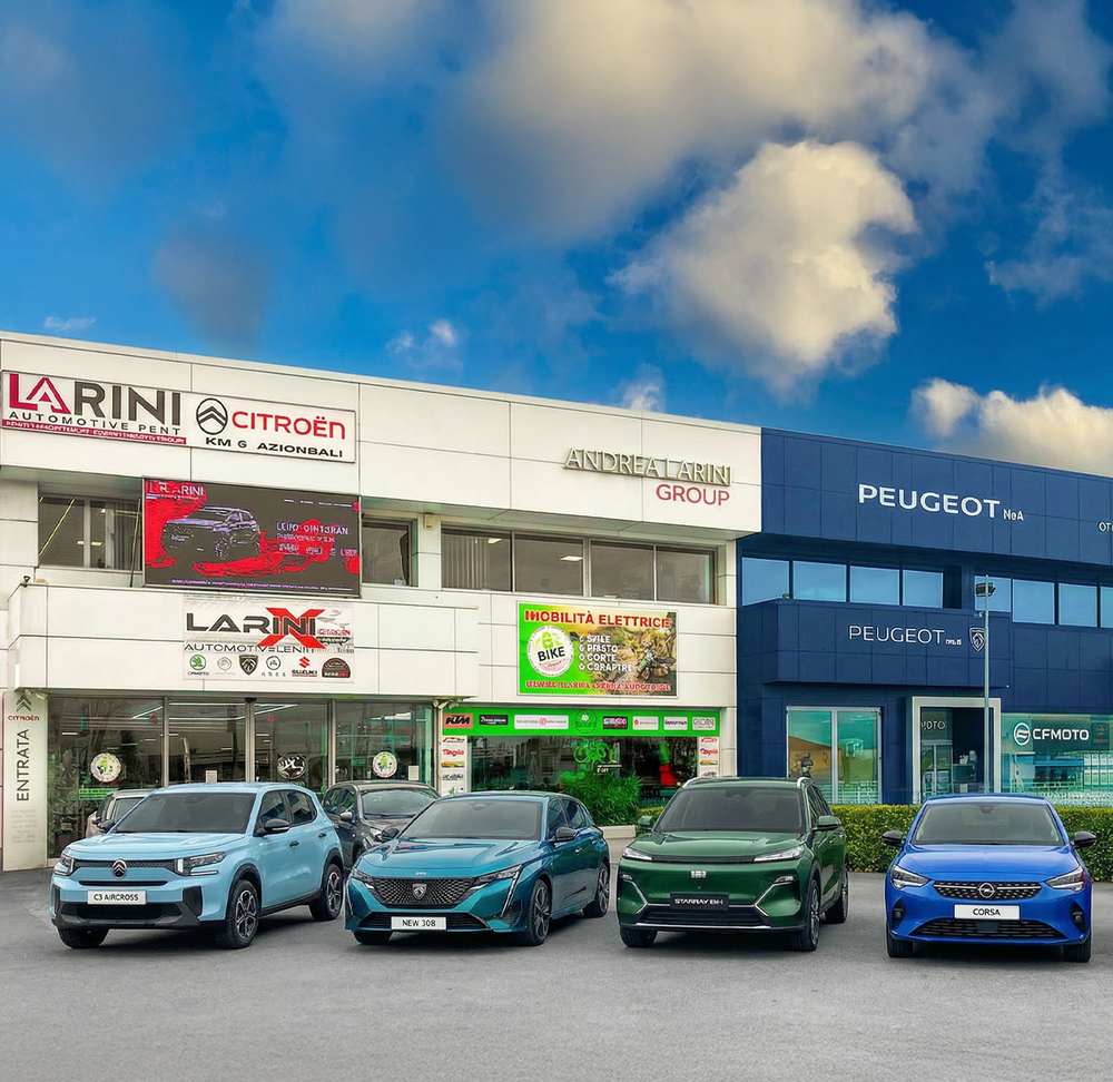 Nuovo, Km 0 e aziendali multimarca