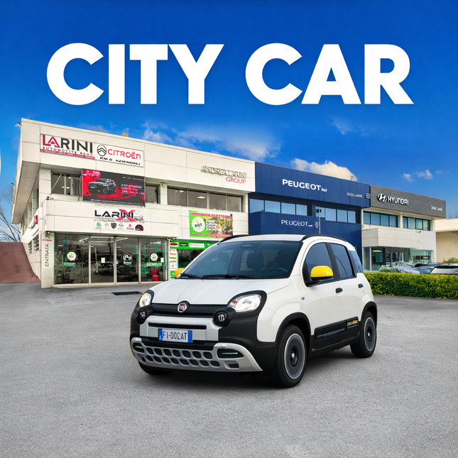 CITY CAR