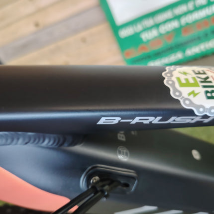 Ebike Whistle B-Rush A 5.2