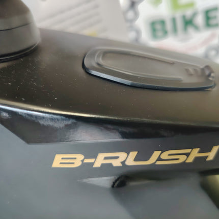 Ebike Whistle B-Rush C 10.2