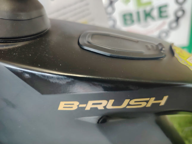 Ebike Whistle B-Rush C 10.2
