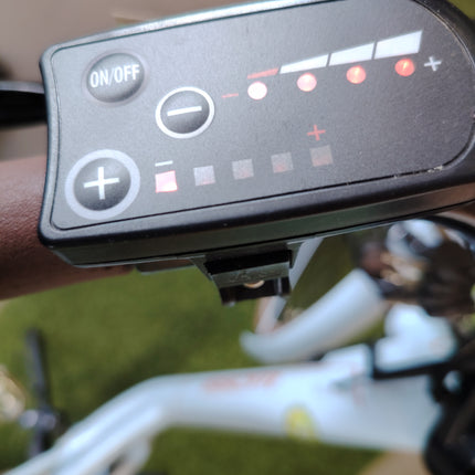 Ebike World Dimension Cristal Retrò