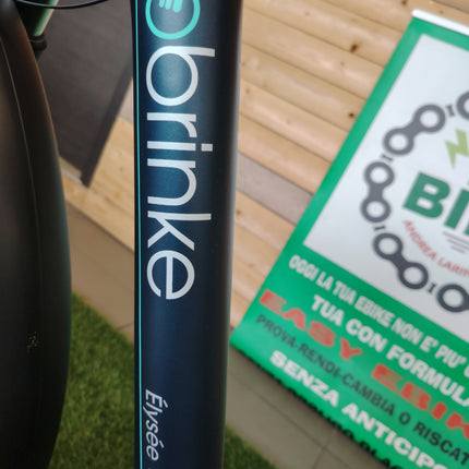 Ebike brinke elise evo