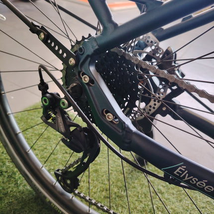 Ebike brinke elise evo