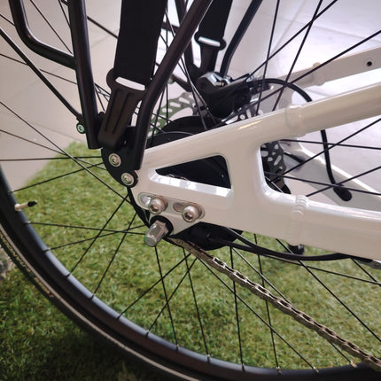 Ebike Fantic Leaving City