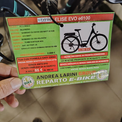 Ebike brinke elise evo
