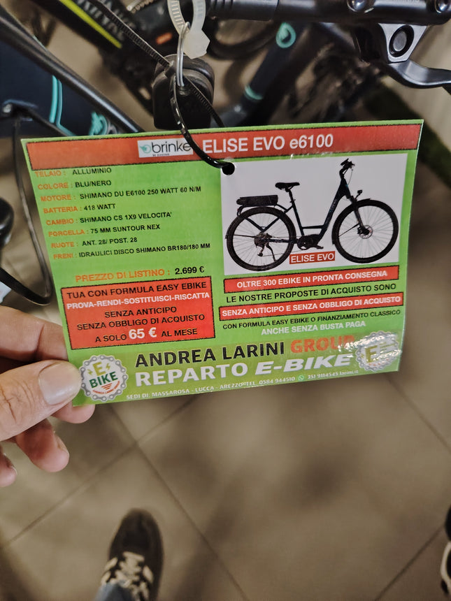 Ebike brinke elise evo