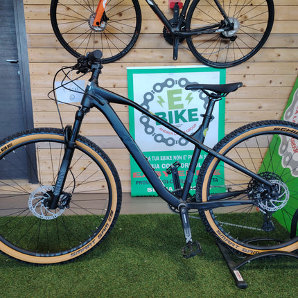Mountain Bike Raymon Hard Ray Nine 6.0