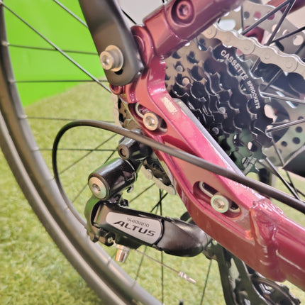 Ebike World Dimension Noa Smart