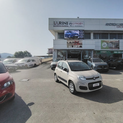 Fiat Panda 1.2 Pandazzurri - NEOPATENTATI