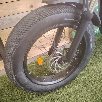 Ebike Fat Fantic Issimo