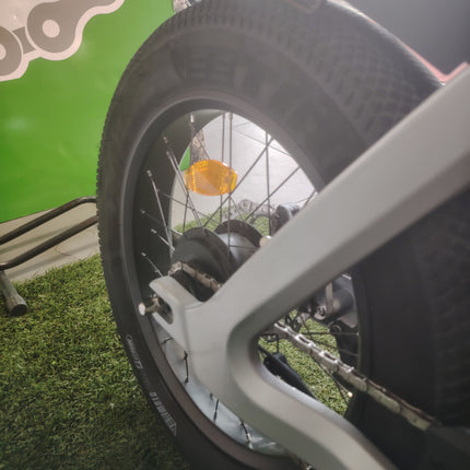 Ebike Fat Fantic Issimo