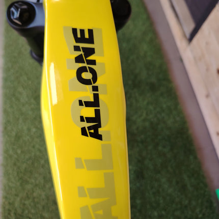 Ebike Thok All One