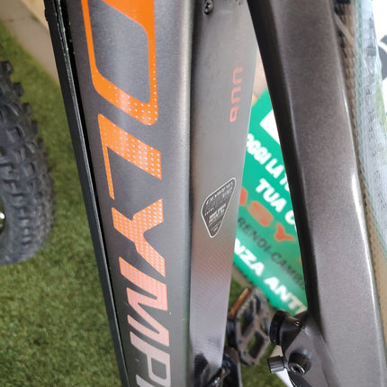 Ebike Olympia EX 900 Trail