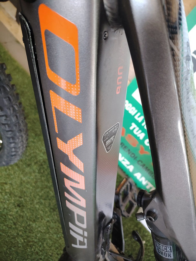 Ebike Olympia EX 900 Trail