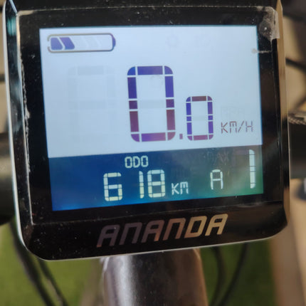 Ebike Olympia EX 900 Trail