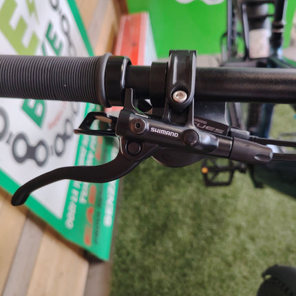 Ebike Trekking World Dimension Forest TRK 500