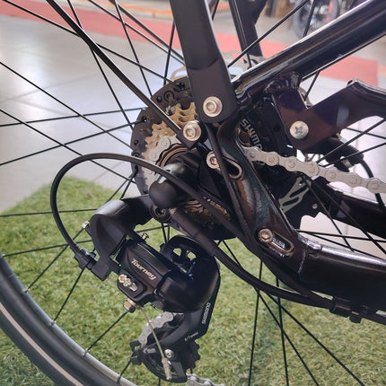 Ebike City World Dimension Haira Lux 28