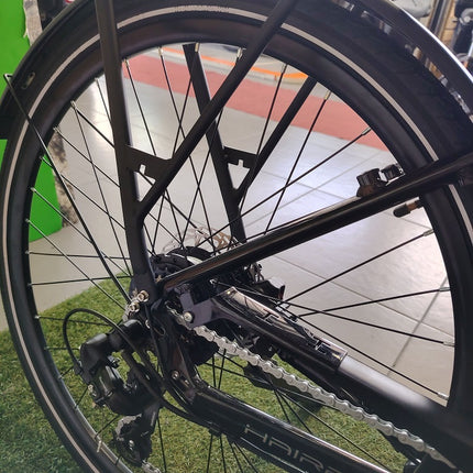 Ebike City World Dimension Haira Lux 28