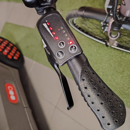 Ebike World Dimension Haira Lux 28
