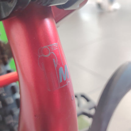 Ebike full Olympia EX 900 Sport