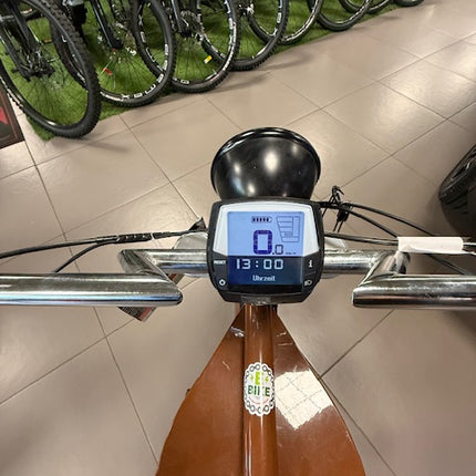 Ebike Ruffian