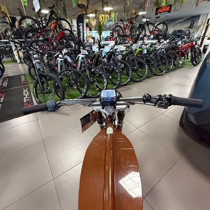 Ebike Ruffian