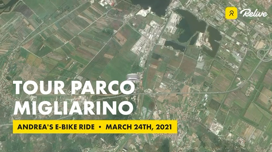 Tour Parco Migliarino