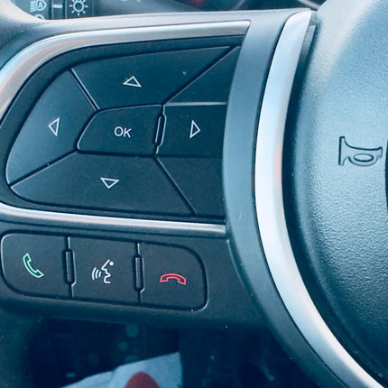 Fiat 500L Trekking 1.4 benzina/GPL immatricolata nel 2019