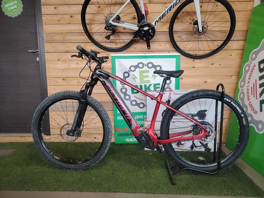 Olympia Master – eBike Front ANANDA 100Nm