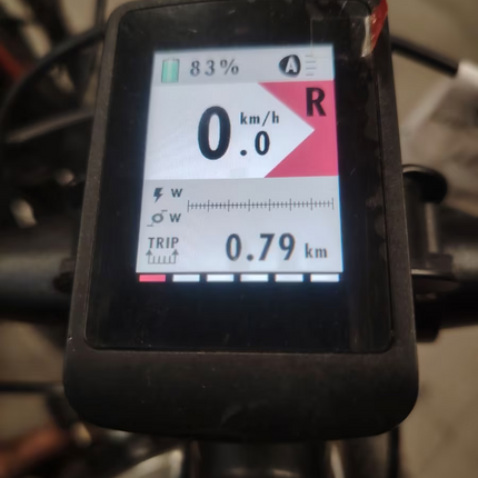 Olympia Master – eBike Front ANANDA 100Nm